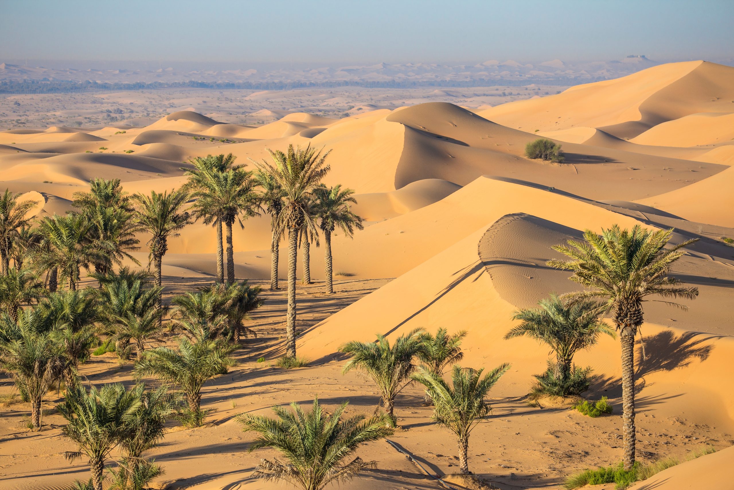 Remah,Desert,,Al,Ain,,Abu,Dhabi,,United,Arab,Emirates,,Middle